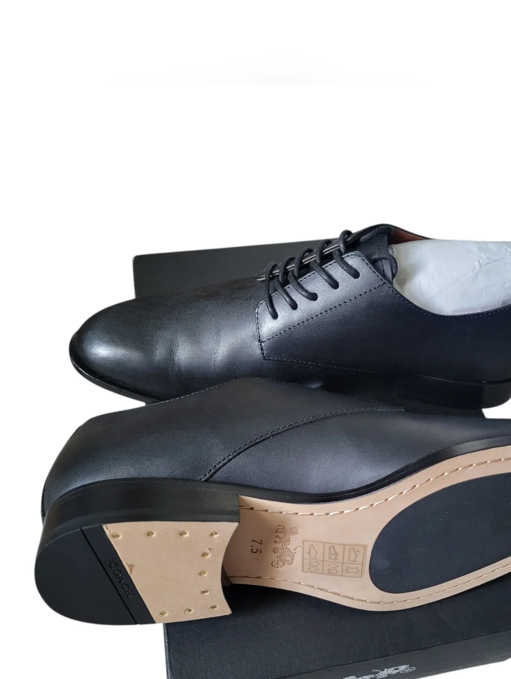 Coach Sculpt C Derby Oxford Black, US 7.5 - Picture 5 of 7